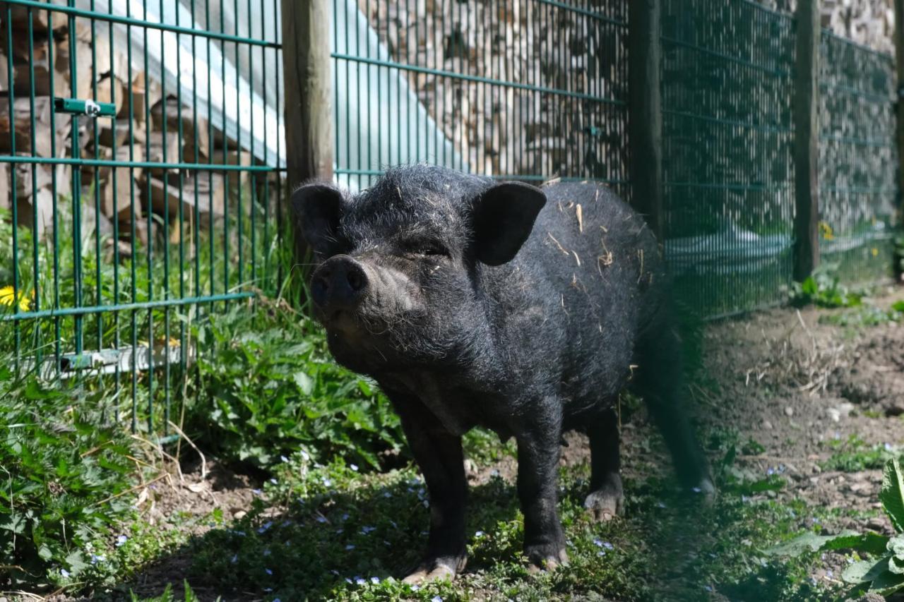 Ferienhof Schwehr ザーレム エクステリア 写真