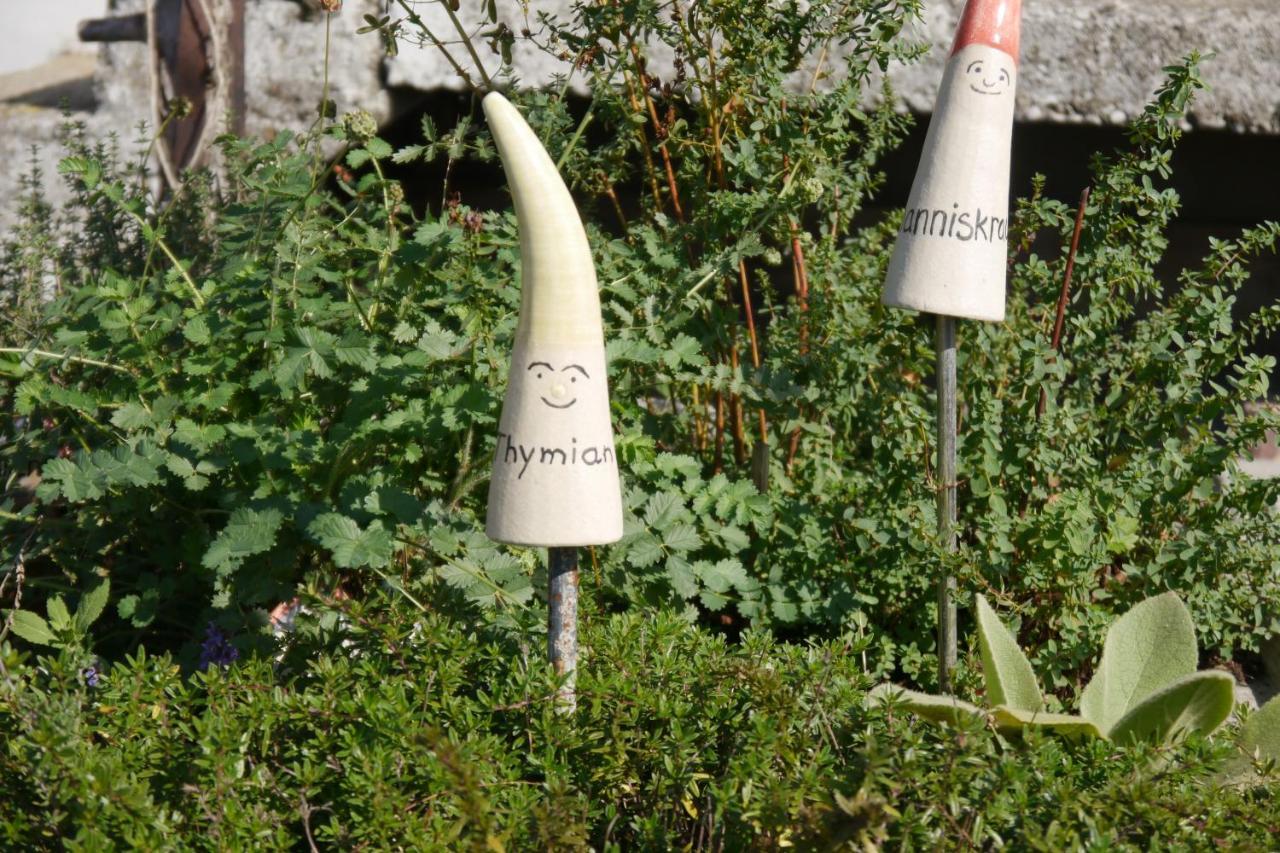 Ferienhof Schwehr ザーレム エクステリア 写真