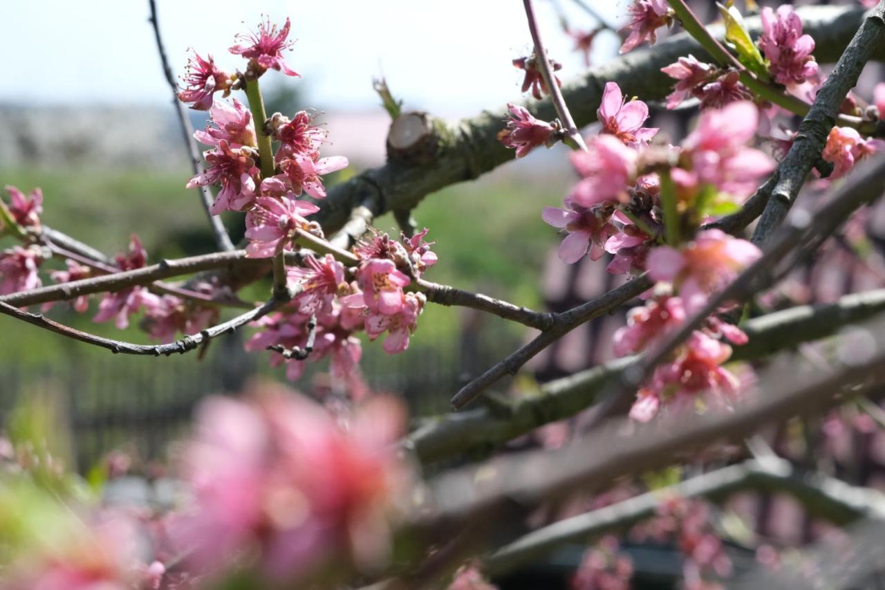 Ferienhof Schwehr ザーレム エクステリア 写真